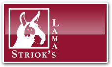 Striok's Lamas